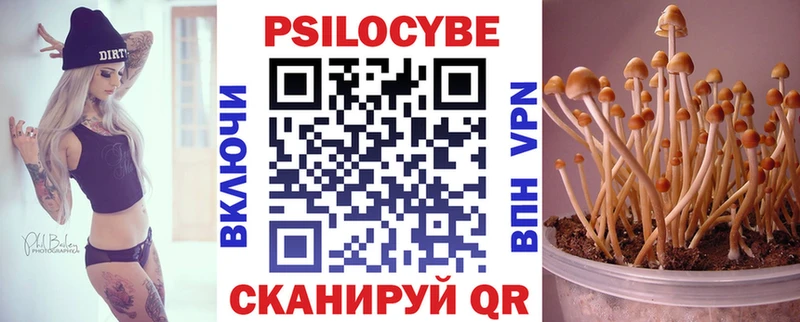 наркотики  shop состав  Галлюциногенные грибы Psilocybine cubensis  Октябрьск 
